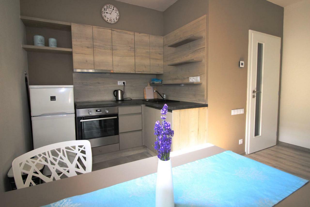 דירות ליפנו נאד וויטאבו Apartman Lipno Korzo מראה חיצוני תמונה